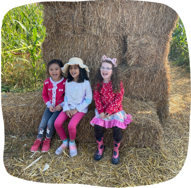 Three kindergarten girls laugh while sitting on hay at the pumpkin patch